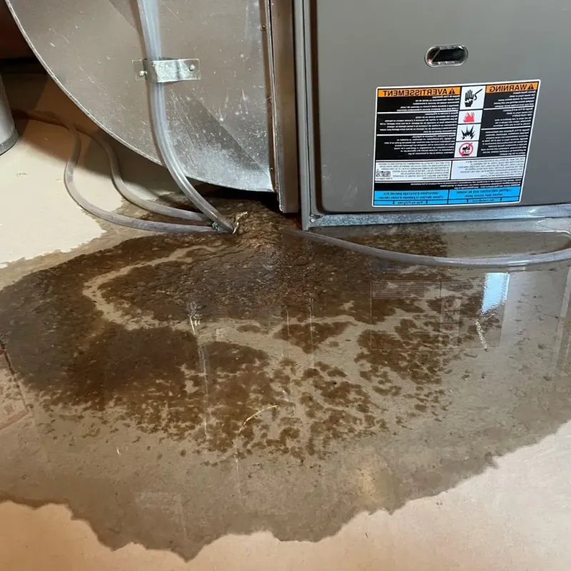 Pipe Burst and Leak Restoration in Bayard, NM